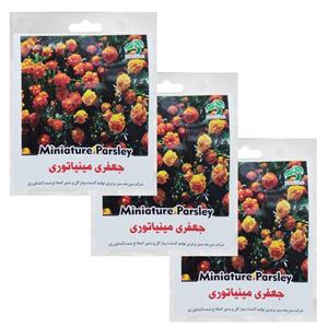 بذر گل جعفری مینیاتوری گرین فارم کد GR 127 بسته 3 عددی