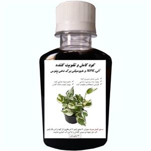 کود آلی NPK و هیومیکی برگ دهی پتوس مدل Petous حجم 120 میلی لیتر