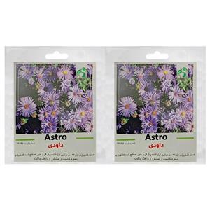 بذر گل داوودی گرین فارم کد GR-DA بسته 2 عددی