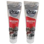 خمیر مینرال سگ پرسا مدل Mineral Paste وزن 100 گرم بسته 2 عددی