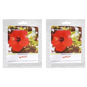 بذر گل ختمی گرین فارم کد 004 بسته 2 عددی