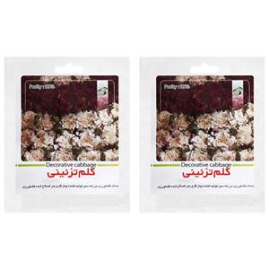 بذر کلم تزیینی گرین فارم کد LMN 1 بسته 2 عددی