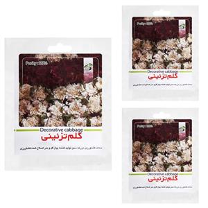 بذر کلم تزیینی گرین فارم کد LMN 1 بسته 3 عددی