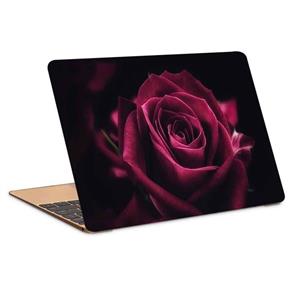 استیکر لپ تاپ طرح rose flower close up petals کد P-939 مناسب برای لپ تاپ 15.6 اینچ 