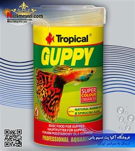 غذای ماهی تروپیکال مدل Guppy وزن 20 گرم