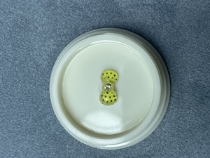 نگین ناخن کد 12