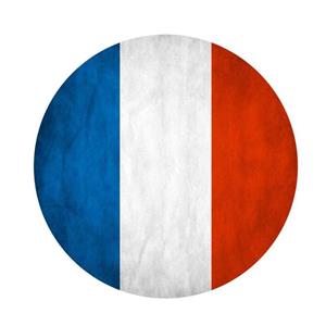 برچسب بدنه خودرو نکسان طرح پرچم فرانسه  کد SK016 مناسب برای تیبا2