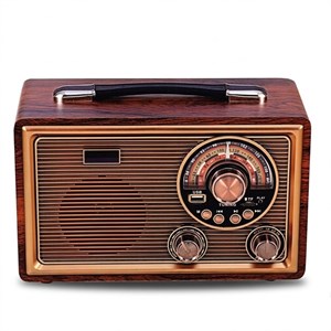 رادیو رایسینگ مدل R-9022BT
