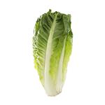 Rezvani Organic Lettuce - 1 Kg