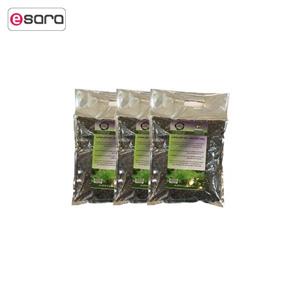 بستر آماده کشت گیاه نخل مرداب 2 کیلوگرمی گلباران سبز بسته سه عددی Golbarane Sabz Bastare Kesht Cyperus alternifolius 2 Kg Pack Of 3