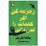 کتاب زمزمه کن اگر کلمات را نمی‌دانی اثر بیانکا ماریس انتشارات مهراندیش