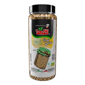 عدس گلها - 500 گرم