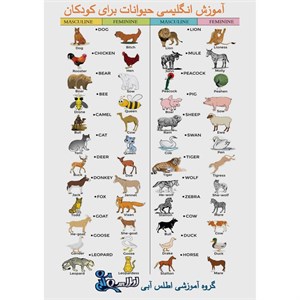 بازی آموزشی انگلیسی اطلس آبی طرح حیوانات مدل TE1014