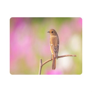 ماوس پد اطلس آبی طرح پرنده و گنجشک روی شاخه درخت  مدل T7717