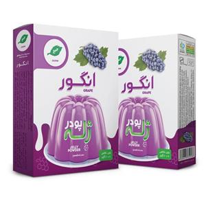 پودر ژله انگور جمع - 100 گرم بسته 2 عددی