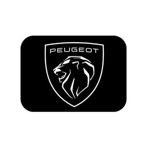 برچسب در باک خودرو توییجین و موییجین کد 01