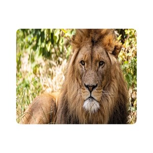 ماوس پد اطلس آبی  طرح شیر  مدل T7811