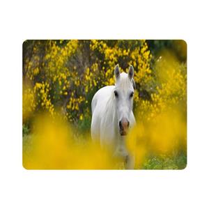 ماوس پد اطلس آبی طرح اسب مدل T7794