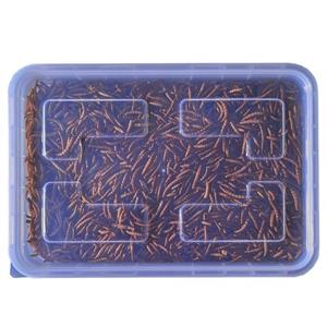 غذای خشک پرندگان مدل میلورم وزن 300 گرم