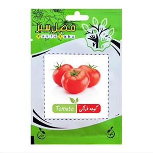 بذر گوجه فرنگی فصل سبز کد SEED-014