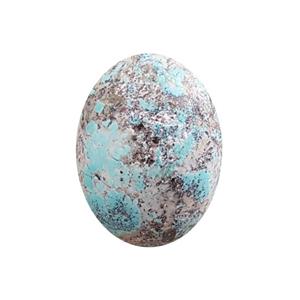 سنگ فیروزه نیشابور کد 020