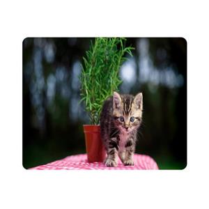 ماوس پد اطلس آبی طرح گربه مدل T7963