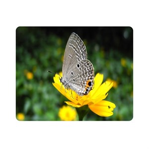 ماوس پد اطلس آبی طرح پروانه و گل  مدل T7951