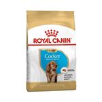 لوازم سگ برند زوو ( ZOO ) توله سگ توله سگ Royal Canin Cocker 3 کیلوگرم – کدمحصول 77270