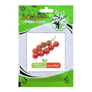 بذر گوجه گیلاسی قرمز فصل سبز کد SEED-024