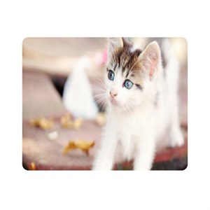 ماوس پد اطلس آبی  طرح گربه  مدل T7965