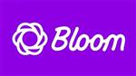 دانلود افزونه وردپرس خبرنامه Bloom