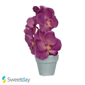 گلدان دکوری مدل ارکیده