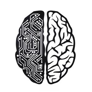 دیوارکوب رومادون طرح مغز کد 1294