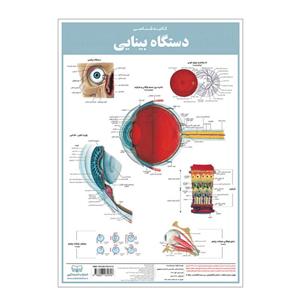 پوستر آموزشی انتشارات اندیشه کهن مدل کالبدشناسی دستگاه بینایی کد 35-50