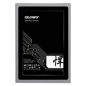 حافظه اس اس دی Gloway STK 120GB