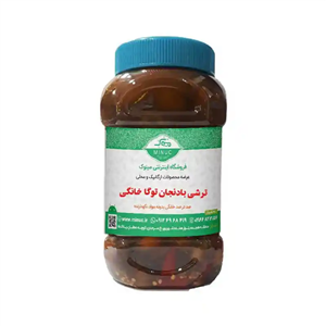 ترشی بادنجان توگا مکزیکی خانگی ۱ کیلویی