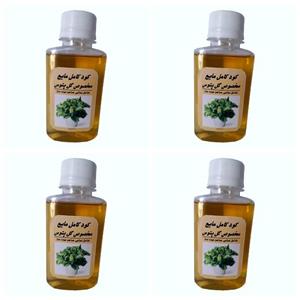 کود مایع مخصوص پتوس مدل A33 حجم 120 میلی لیتر بسته 4 عددی