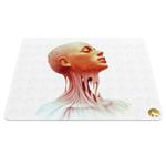 Hoomero Anatomy Medicine A5570 Mousepad