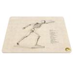 Hoomero Anatomy Medicine A5567 Mousepad