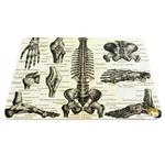 Hoomero Anatomy Medicine A5562 Mousepad