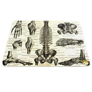 ماوس پد هومرو مدل A5562 طرح پزشکی آناتومی Hoomero Anatomy Medicine A5562 Mousepad