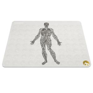 ماوس پد هومرو مدل A5560 طرح پزشکی اناتومی Hoomero Anatomy Medicine Mousepad 