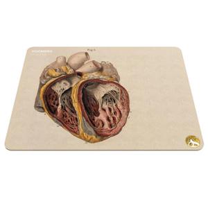 ماوس پد هومرو مدل A5617 طرح پزشکی اناتومی Hoomero Anatomy Medicine Mousepad 