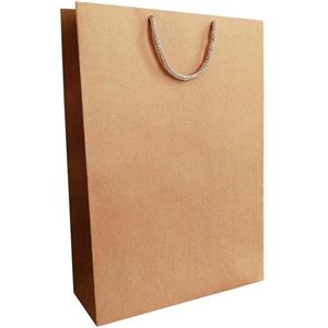 ساک هدیه مدل کرافت ساده  بسته 5 عددی