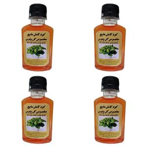 کود و تقویت کننده رشد انواع پتوس کد  A44 حجم 120 میلی لیتر بسته 4 عددی