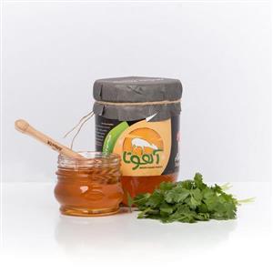 عسل گشنیز آهوتا 1 کیلویی