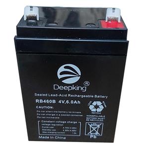 باتری شارژی دیپکینگ 4 ولت 6 آمپر Deepking
