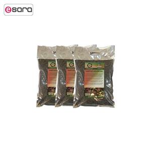 بستر آماده کشت گیاه آگلونما 2 کیلوگرمی گلباران سبز بسته سه عددی Golbarane Sabz Bastare Kesht Aglaoenema 2kg Fertilizer Pack Of 3