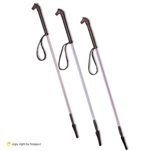 شلاق کله اسبی