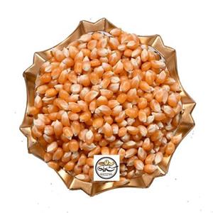 دانه ذرت ارگانیک آفریقای جنوبی فله